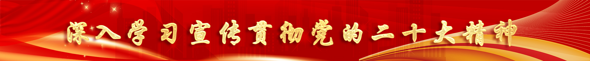 喜迎二十大，奮進(jìn)新征程 